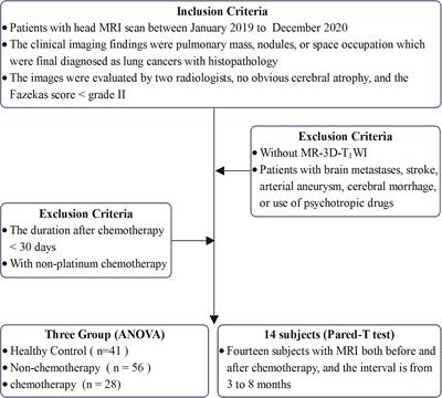 Brain morphological alterations and their correlation to tumor differentiation and duration in patients with lung cancer after platinum chemotherapy